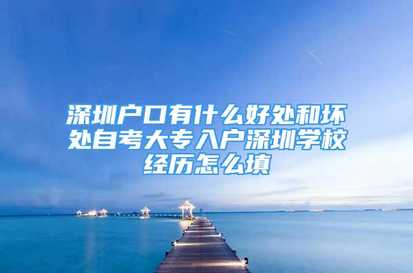 深圳户口有什么好处和坏处自考大专入户深圳学校经历怎么填