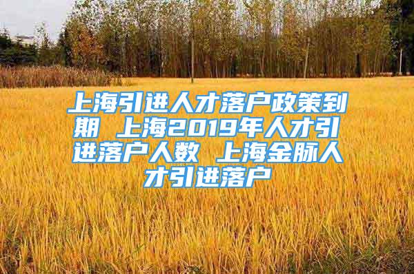 上海引进人才落户政策到期 上海2019年人才引进落户人数 上海金脉人才引进落户