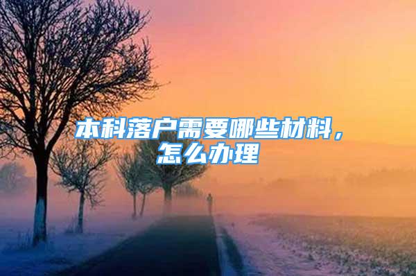 本科落户需要哪些材料，怎么办理