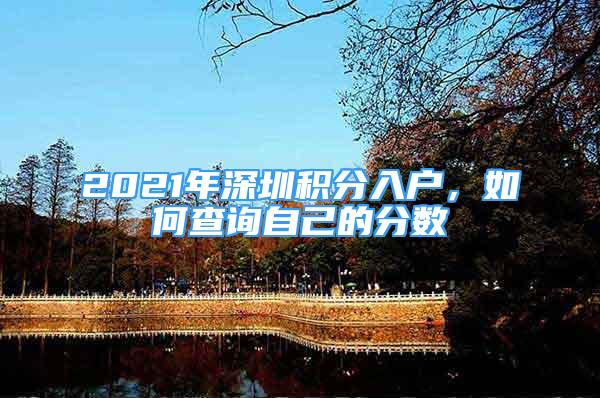 2021年深圳积分入户，如何查询自己的分数