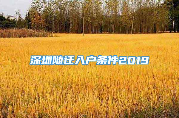 深圳随迁入户条件2019