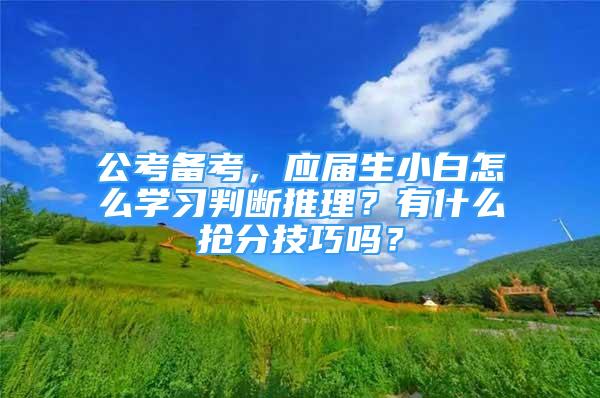 公考备考，应届生小白怎么学习判断推理？有什么抢分技巧吗？