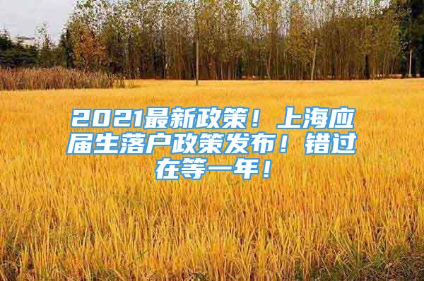 2021最新政策！上海应届生落户政策发布！错过在等一年！