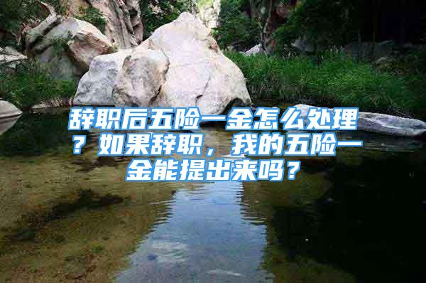 辞职后五险一金怎么处理？如果辞职，我的五险一金能提出来吗？