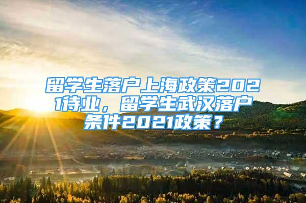 留学生落户上海政策2021待业，留学生武汉落户条件2021政策？