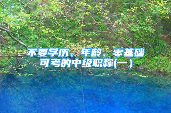 不要学历、年龄、零基础可考的中级职称(一）