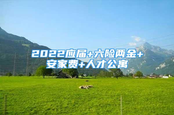 2022应届+六险两金+安家费+人才公寓