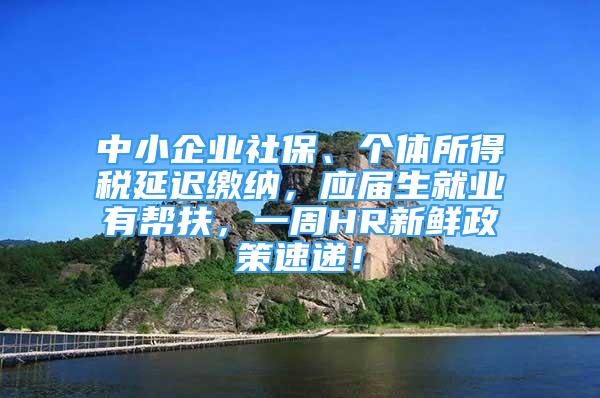 中小企业社保、个体所得税延迟缴纳，应届生就业有帮扶，一周HR新鲜政策速递！