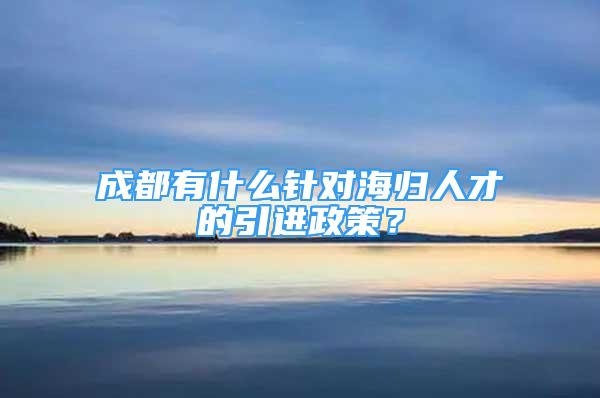 成都有什么针对海归人才的引进政策？