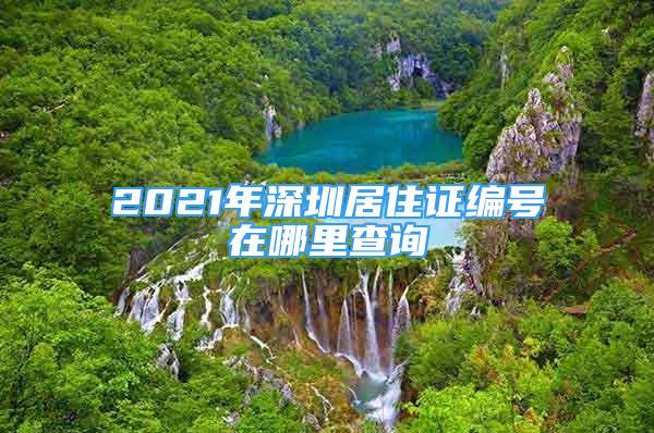 2021年深圳居住证编号在哪里查询