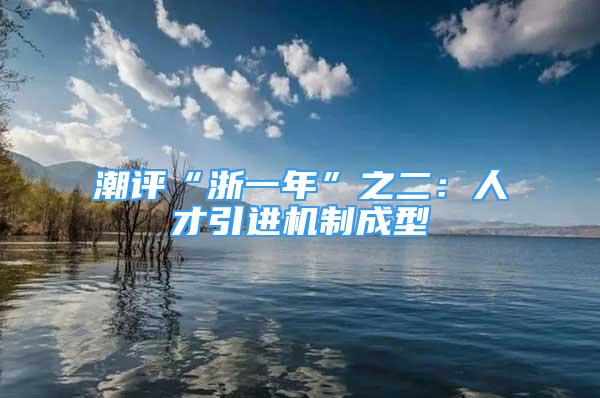 潮评“浙一年”之二：人才引进机制成型