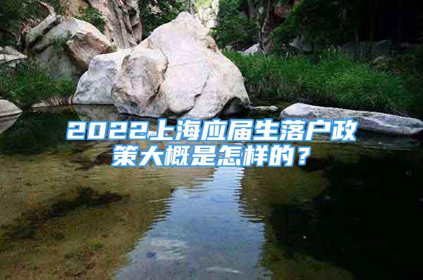 2022上海应届生落户政策大概是怎样的？