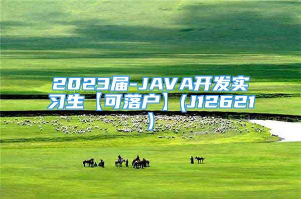 2023届-JAVA开发实习生【可落户】(J12621)