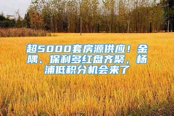 超5000套房源供应！金隅、保利多红盘齐聚，杨浦低积分机会来了