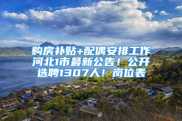 购房补贴+配偶安排工作河北1市最新公告！公开选聘1307人！岗位表