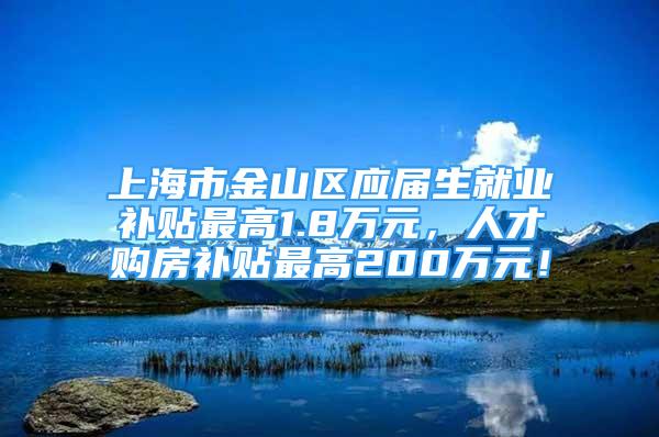 上海市金山区应届生就业补贴最高1.8万元，人才购房补贴最高200万元！