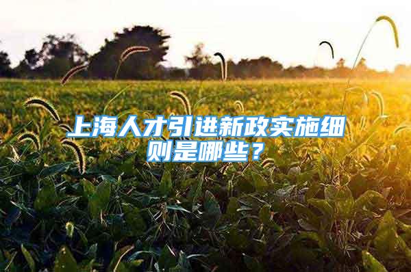 上海人才引进新政实施细则是哪些？