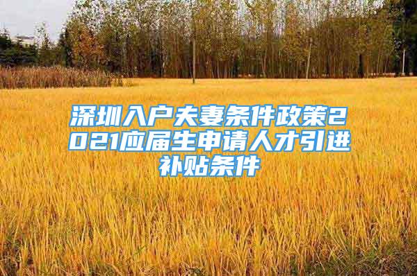 深圳入户夫妻条件政策2021应届生申请人才引进补贴条件