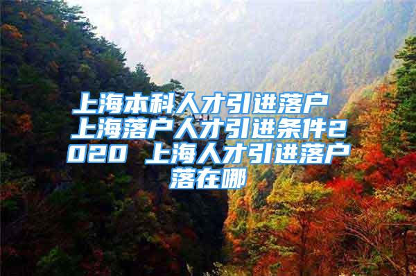 上海本科人才引进落户 上海落户人才引进条件2020 上海人才引进落户落在哪