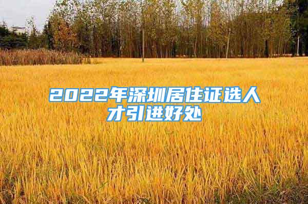 2022年深圳居住证选人才引进好处