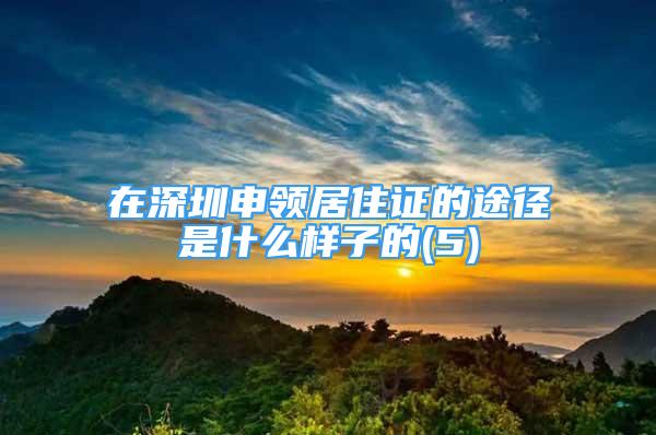 在深圳申领居住证的途径是什么样子的(5)