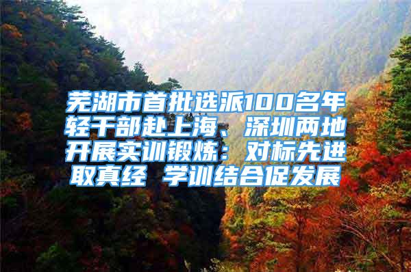 芜湖市首批选派100名年轻干部赴上海、深圳两地开展实训锻炼：对标先进取真经 学训结合促发展