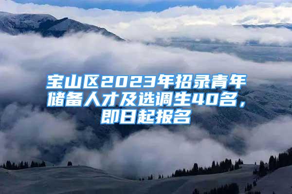 宝山区2023年招录青年储备人才及选调生40名，即日起报名