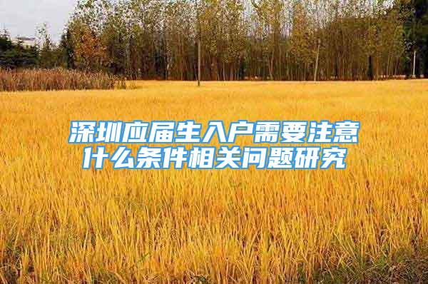 深圳应届生入户需要注意什么条件相关问题研究