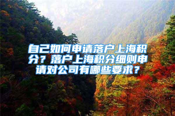 自己如何申请落户上海积分？落户上海积分细则申请对公司有哪些要求？