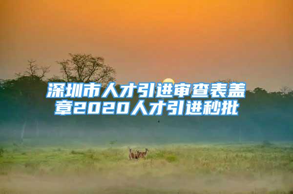 深圳市人才引进审查表盖章2020人才引进秒批