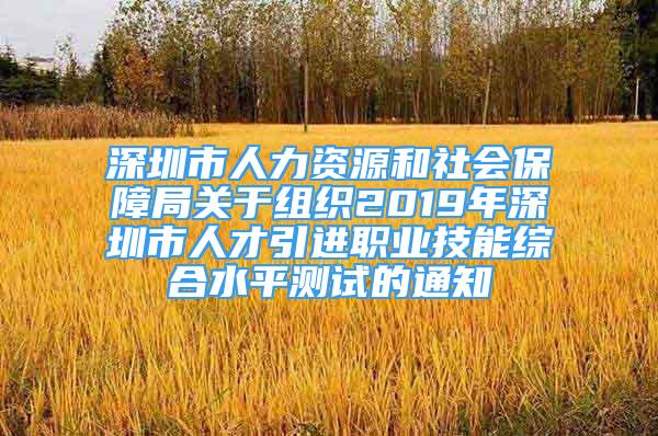 深圳市人力资源和社会保障局关于组织2019年深圳市人才引进职业技能综合水平测试的通知