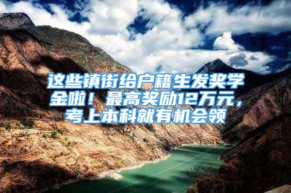 这些镇街给户籍生发奖学金啦！最高奖励12万元，考上本科就有机会领