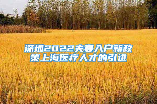 深圳2022夫妻入户新政策上海医疗人才的引进