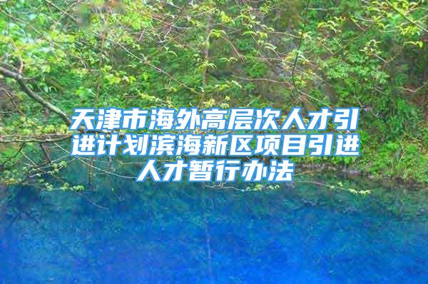 天津市海外高层次人才引进计划滨海新区项目引进人才暂行办法