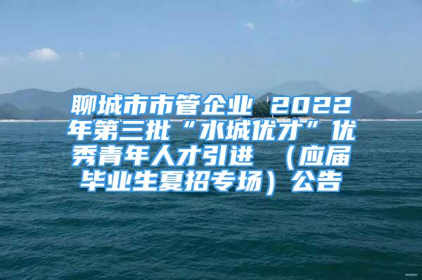 聊城市市管企业 2022年第三批“水城优才”优秀青年人才引进 （应届毕业生夏招专场）公告