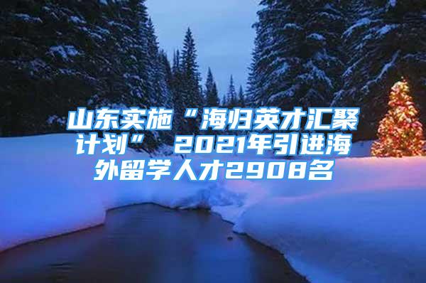 山东实施“海归英才汇聚计划” 2021年引进海外留学人才2908名