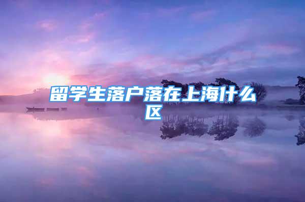 留学生落户落在上海什么区