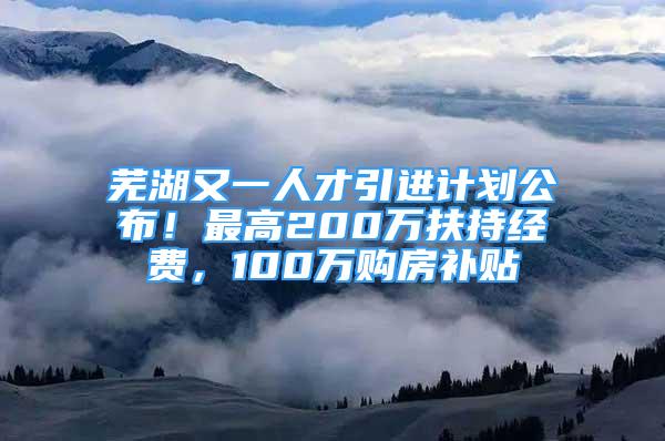 芜湖又一人才引进计划公布！最高200万扶持经费，100万购房补贴