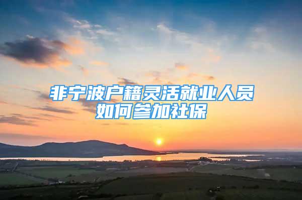 非宁波户籍灵活就业人员如何参加社保