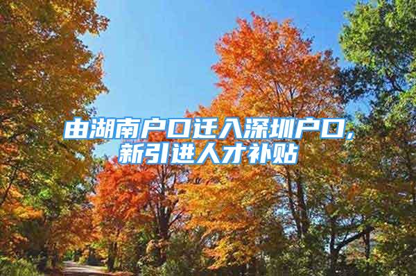 由湖南户口迁入深圳户口,新引进人才补贴