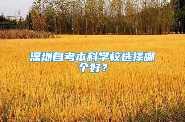 深圳自考本科学校选择哪个好？