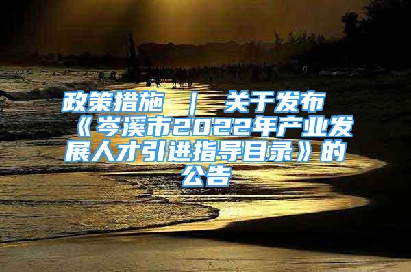 政策措施 ｜ 关于发布《岑溪市2022年产业发展人才引进指导目录》的公告