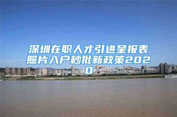 深圳在职人才引进呈报表照片入户秒批新政策2020