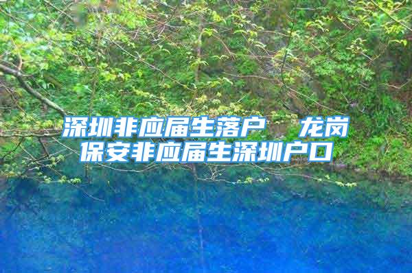 深圳非应届生落户  龙岗保安非应届生深圳户口