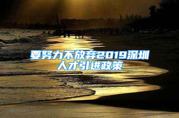 要努力不放弃2019深圳人才引进政策