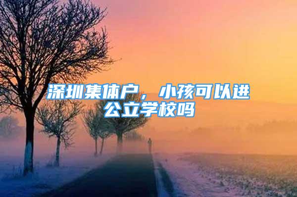 深圳集体户，小孩可以进公立学校吗