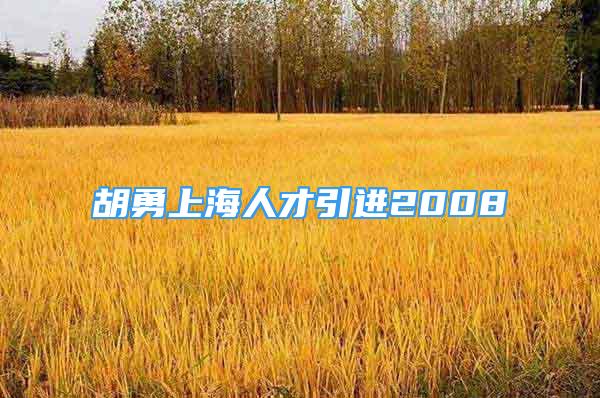 胡勇上海人才引进2008