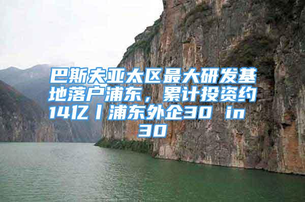 巴斯夫亚太区最大研发基地落户浦东，累计投资约14亿丨浦东外企30 in 30