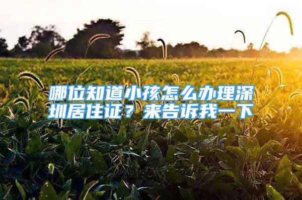 哪位知道小孩怎么办理深圳居住证？来告诉我一下