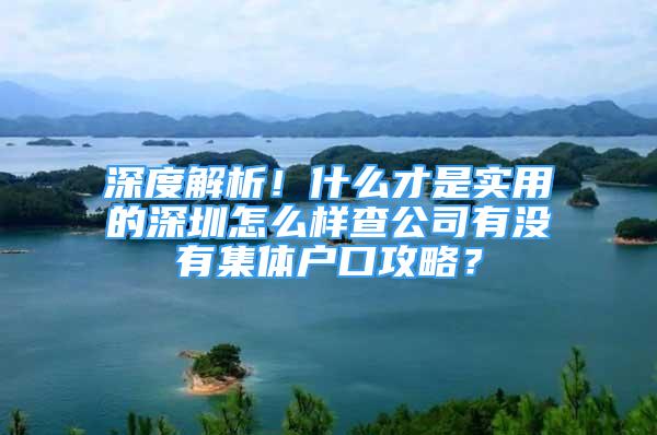 深度解析！什么才是实用的深圳怎么样查公司有没有集体户口攻略？